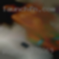 Pussy 32780