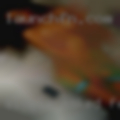 Single naked females